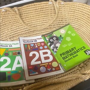Singapore math 2A and 2B textbook +